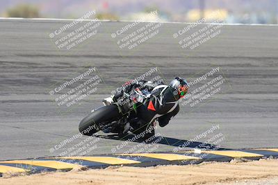 media/Feb-04-2024-SoCal Trackdays (Sun) [[91d6515b1d]]/4-Bowl Backside (11am)/